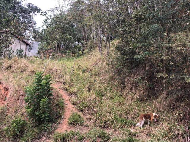 #278 - Área para Venda em Barueri - SP